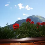 Διαμέρισμα Roasnerhof Φίνκενμπεργκ